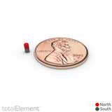 1/16 x 1/8 Inch Tiny Neodymium Rare Earth Cylinder Magnets N52 (300 Pack)